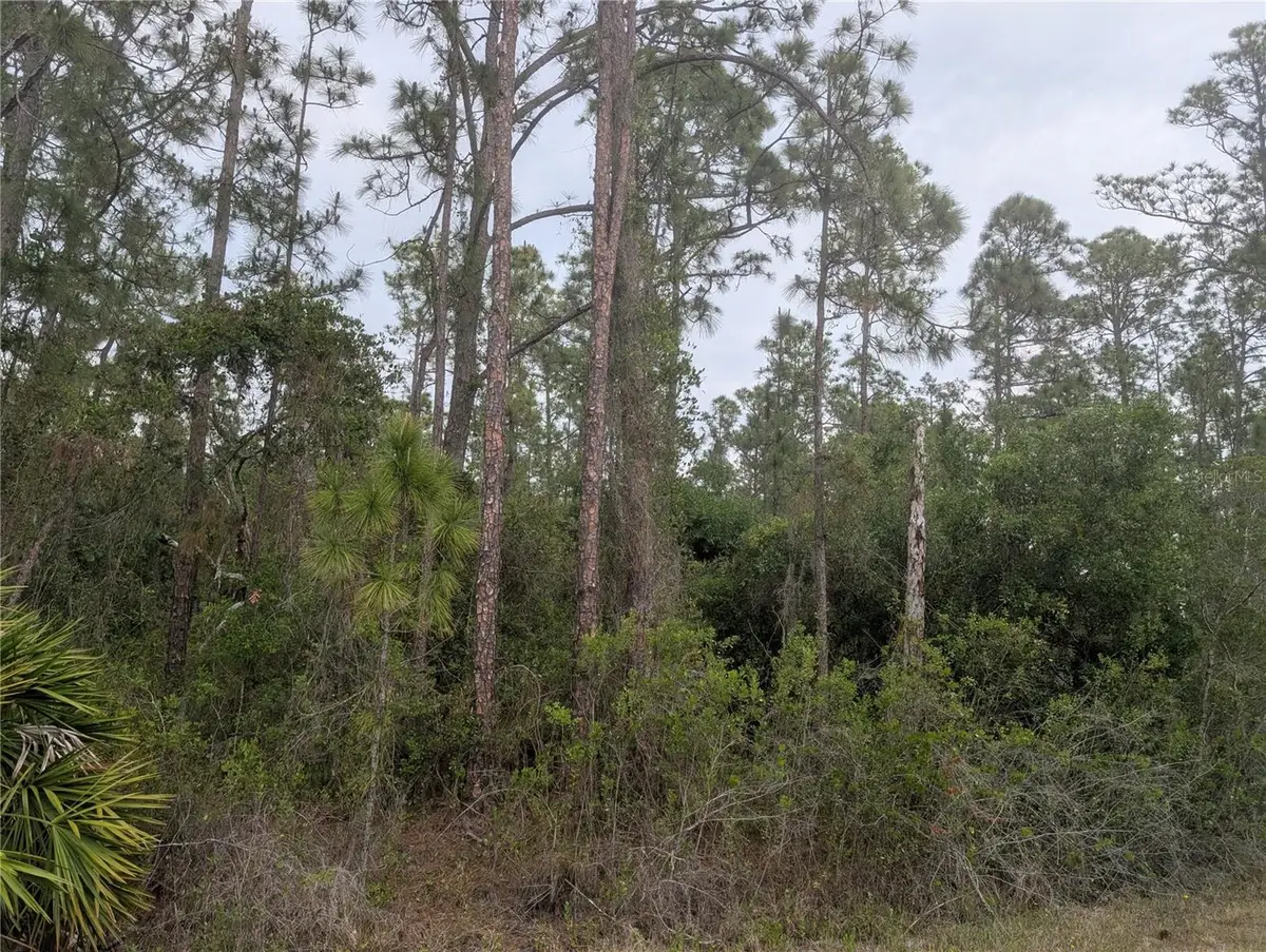 320 Alba Drive, Indian Lake Estates, FL 33855 - #1