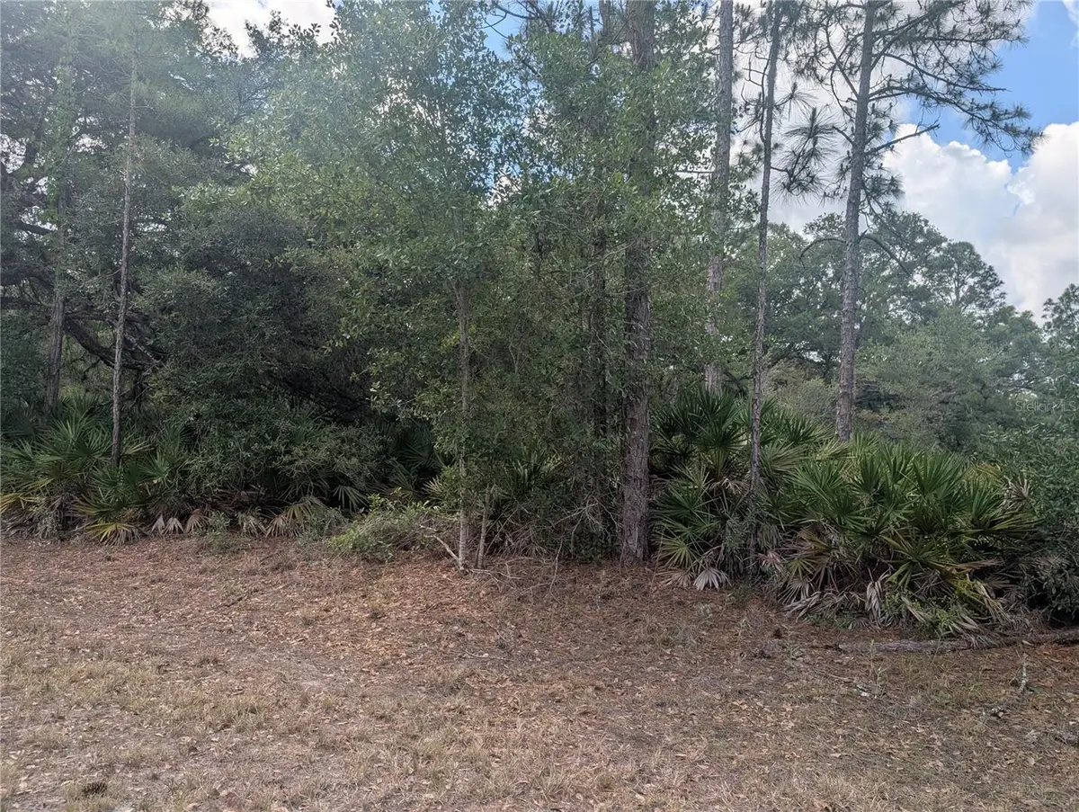 Allamanda Drive, Indian Lake Estates, FL 33855 - #1