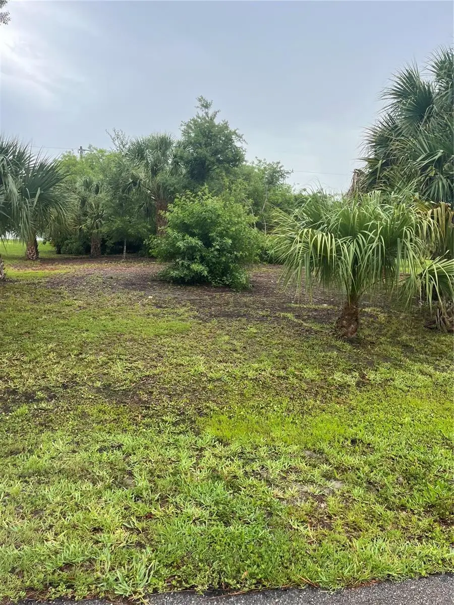 23084 August Avenue, Port Charlotte, FL 33954 - #1