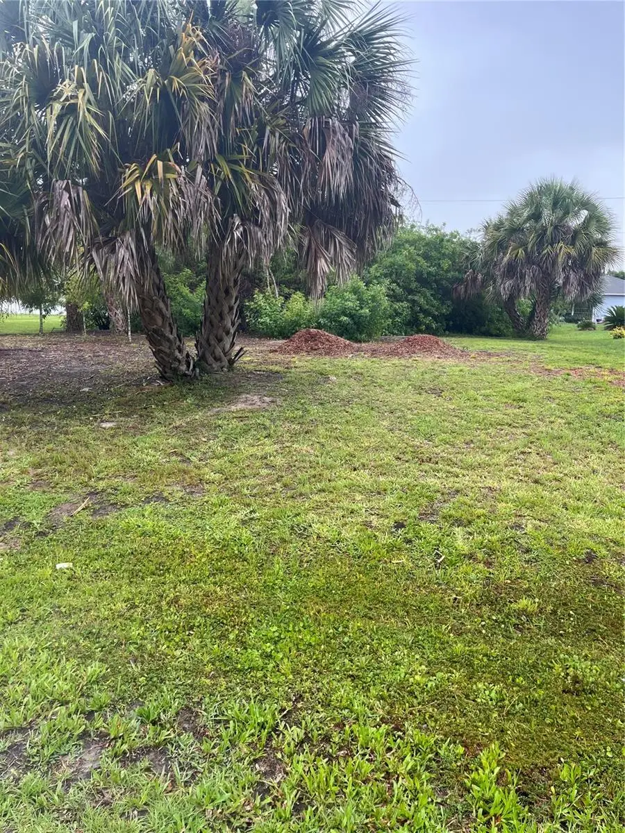 23084 August Avenue, Port Charlotte, FL 33954 - #3