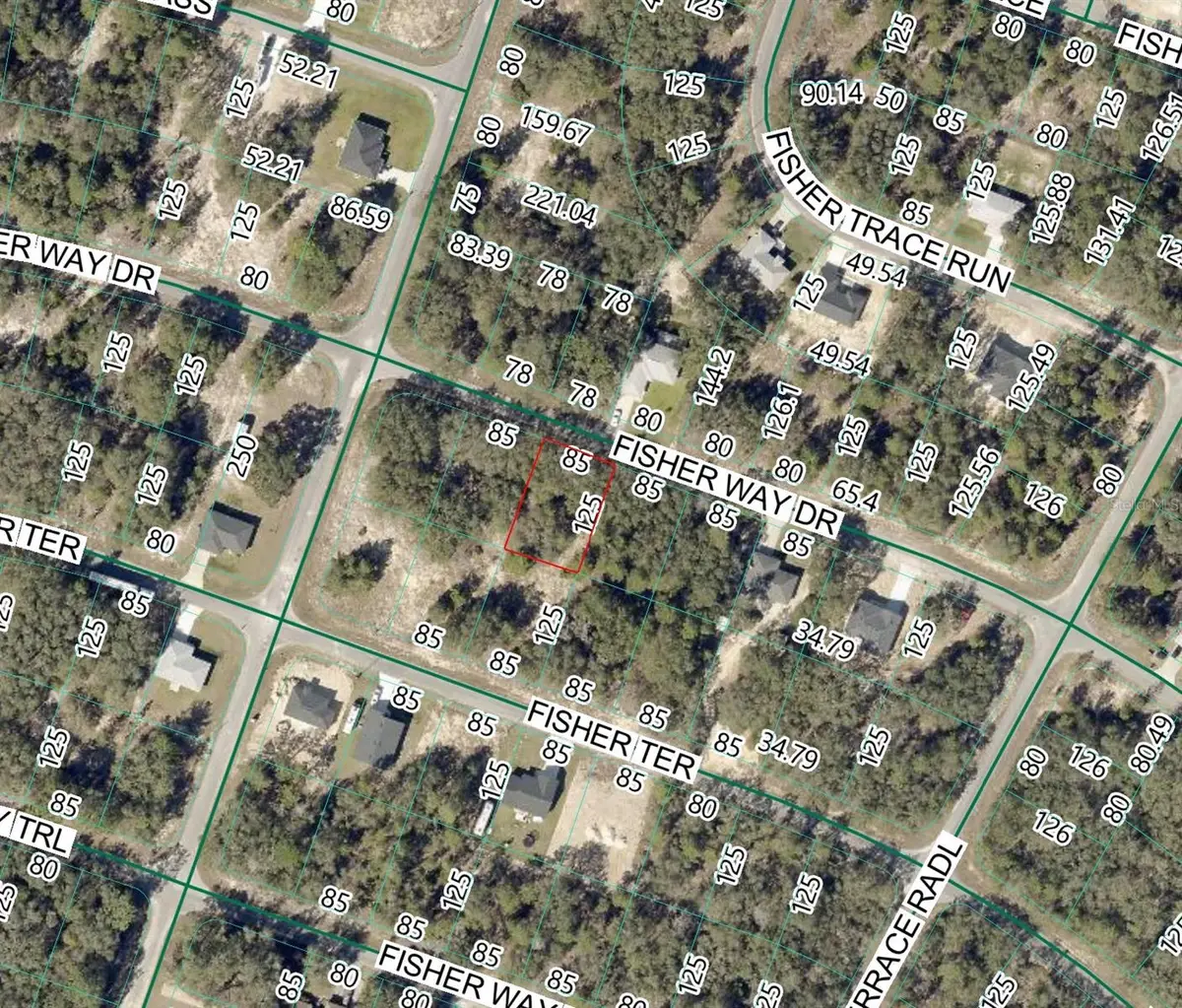 Fisher Way Dr Lot 11, Ocklawaha, FL 32179 - #1