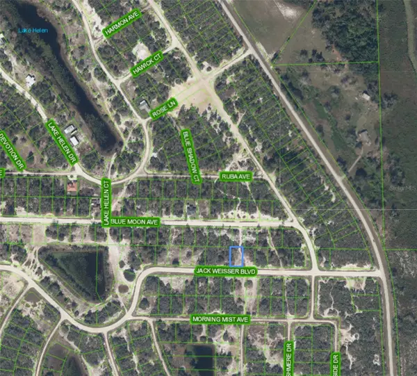 462 Jack Weisser Boulevard, LAKE PLACID, FL 33852