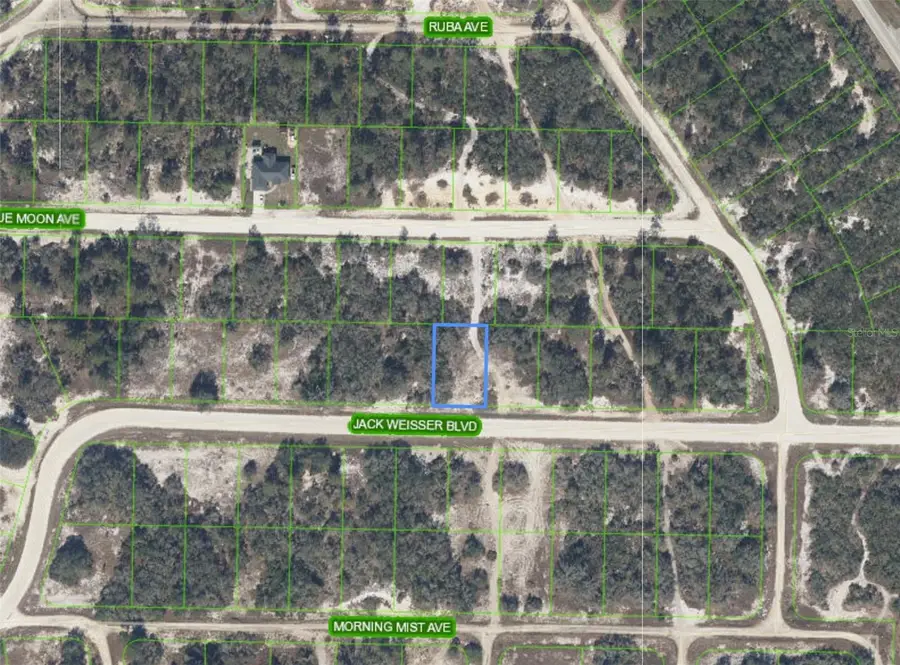 462 Jack Weisser Boulevard, Lake Placid, FL 33852 - #2