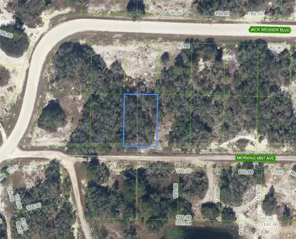 504 Morning Mist Avenue, LAKE PLACID, FL 33852