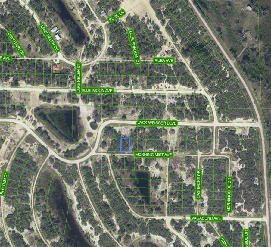 504 Morning Mist Avenue, Lake Placid, FL 33852 - #2