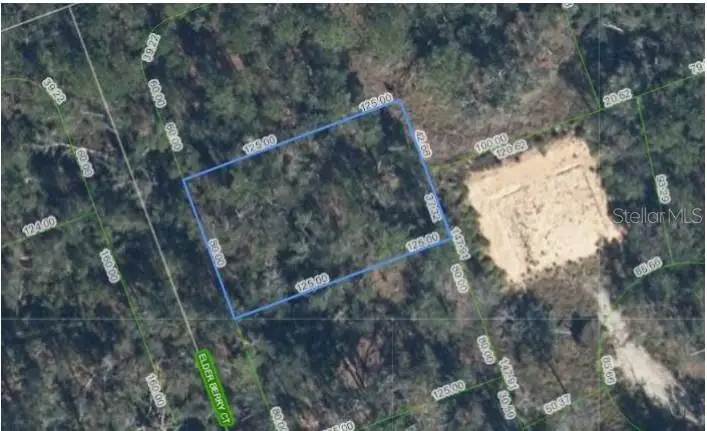 9408 Elder Berry Court, Sebring, FL 33875 - #1