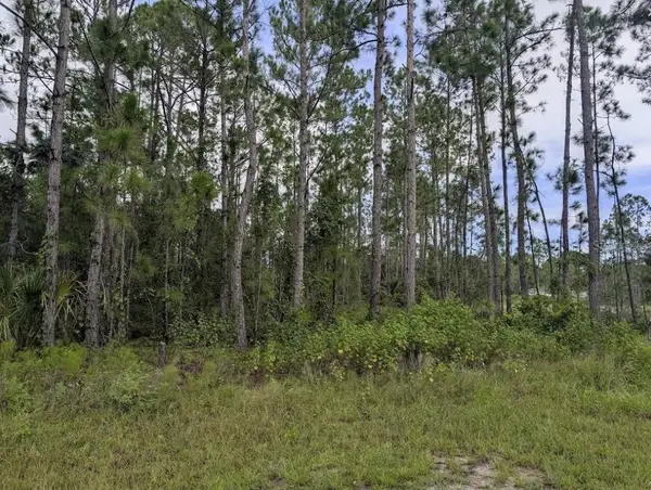 1122 Poinciana Drive, INDIAN LAKE ESTATES, FL 33855