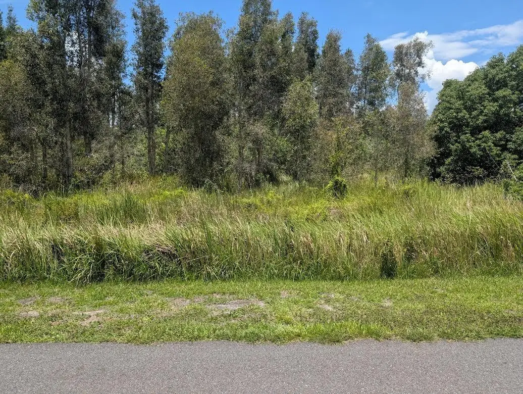 Arborea Drive N, Indian Lake Estates, FL 33855 - #1