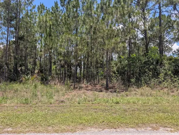 7 Avocado Drive, INDIAN LAKE ESTATES, FL 33855
