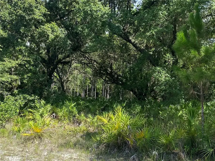 0 Oleander Drive, Indian Lake Estates, FL 33855 - #2