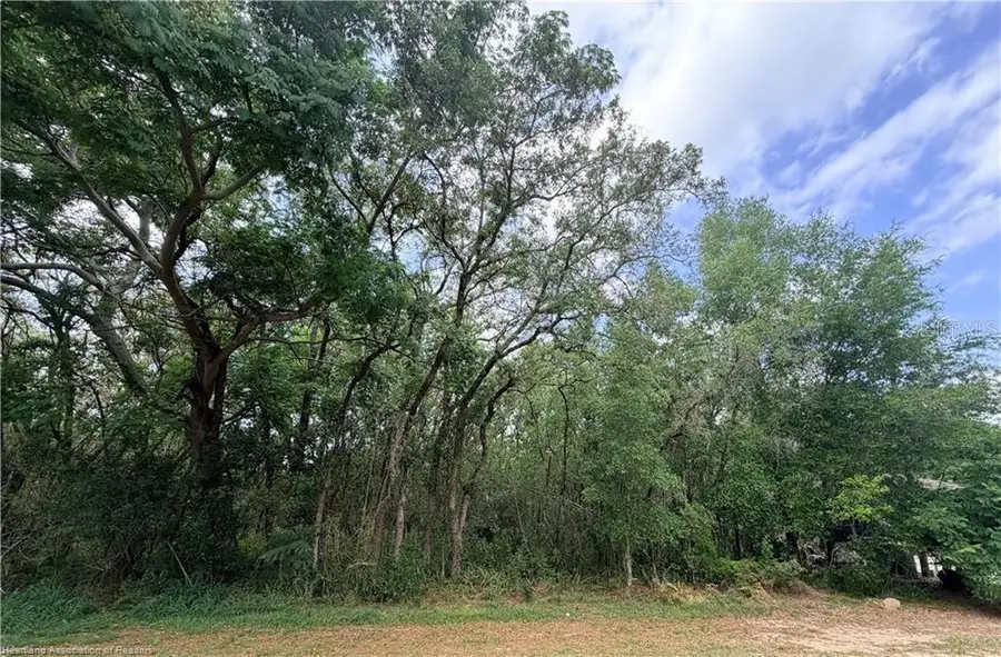 1727 N Berkley Road, Avon Park, FL 33825 - #2