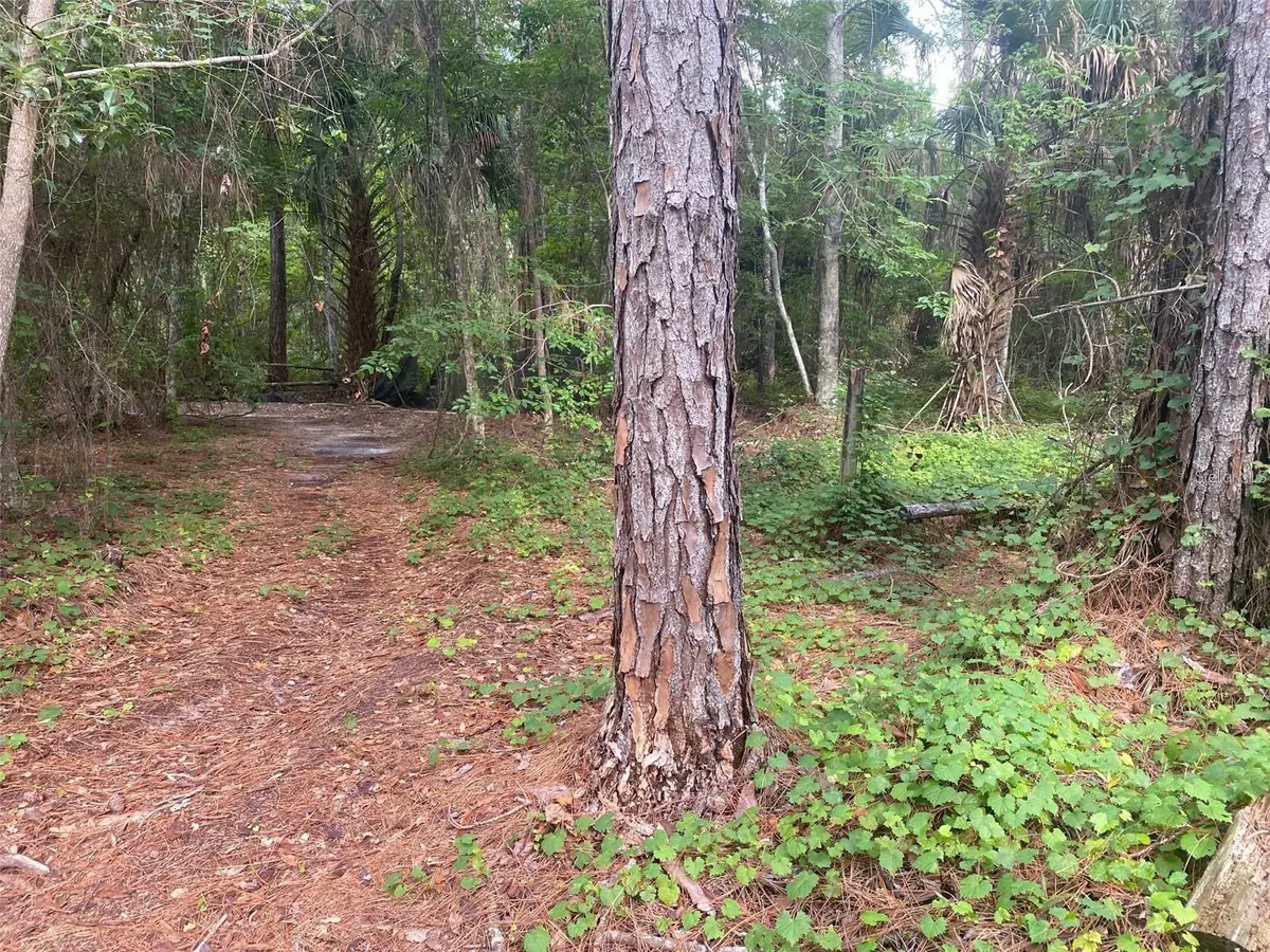 709 Georgetown Denver Road, Crescent City, FL 32112 - #1