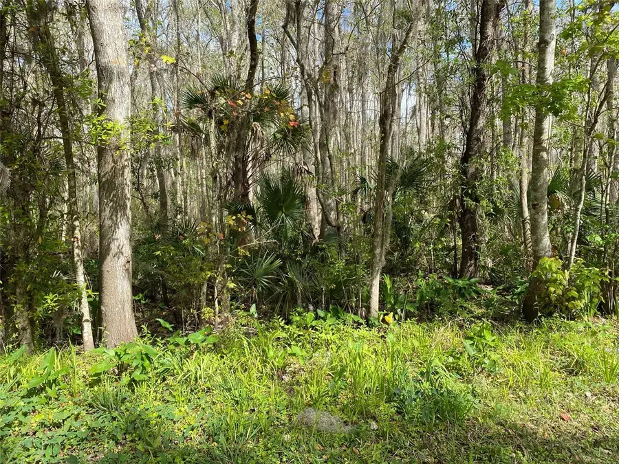 709 Georgetown Denver Road, Crescent City, FL 32112 - #3