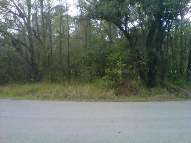 State Park Rd, Lakeland, FL 33805 - #2