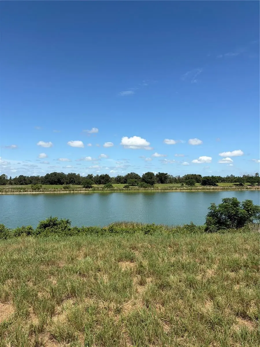 10349 County Road 555, Fort Meade, FL 33841 - #3