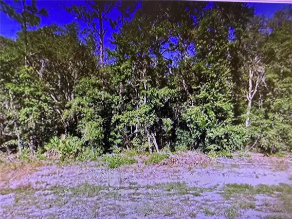 0 Chipo St, INTERLACHEN, FL 32148