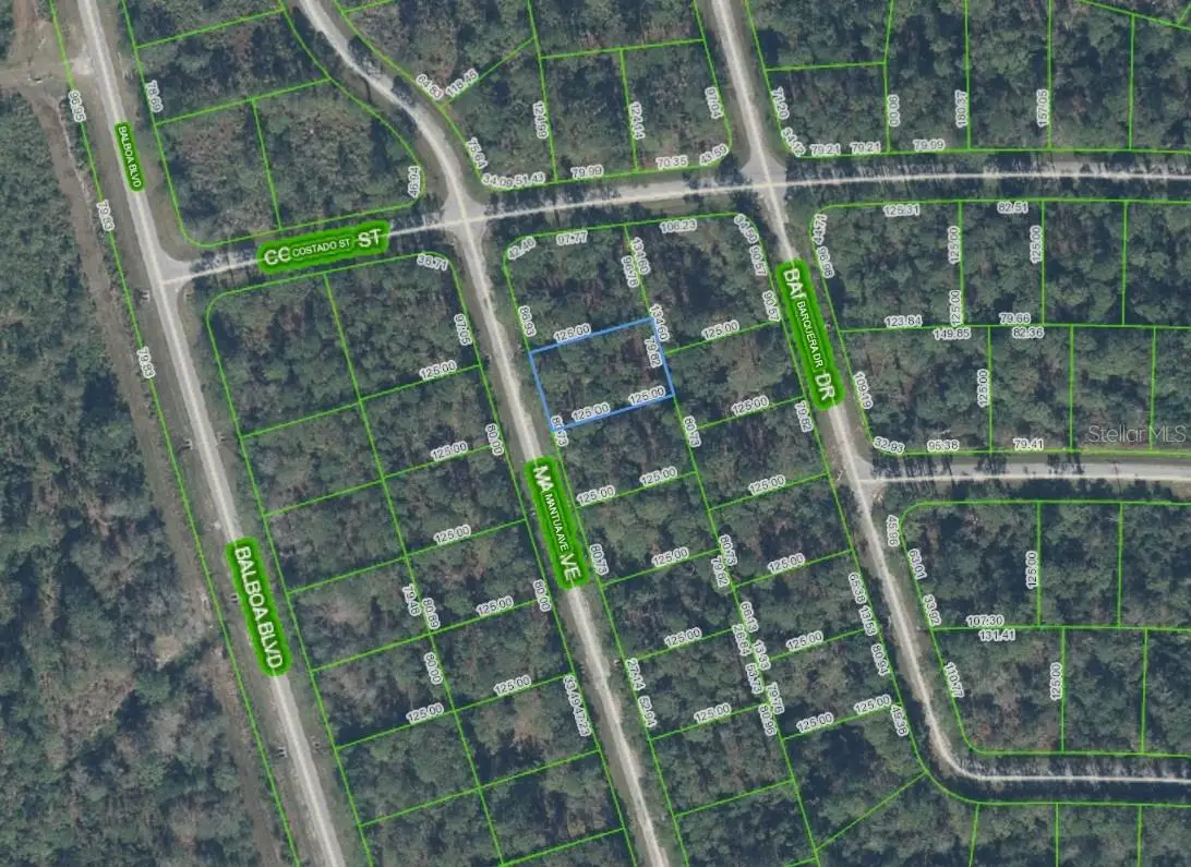 8950 Mantua Drive, Sebring, FL 33872 - #1