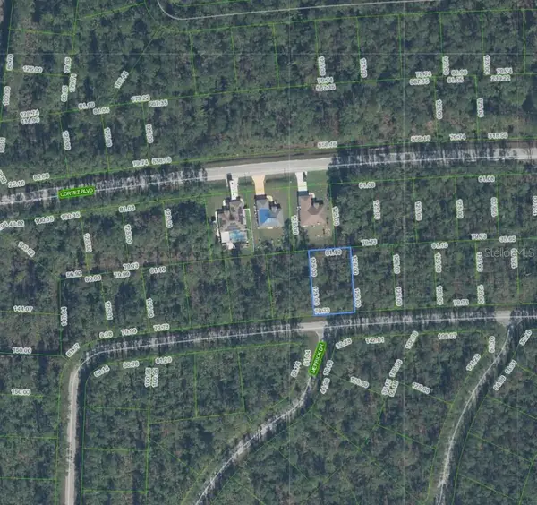7234 Virtudes Street, SEBRING, FL 33872