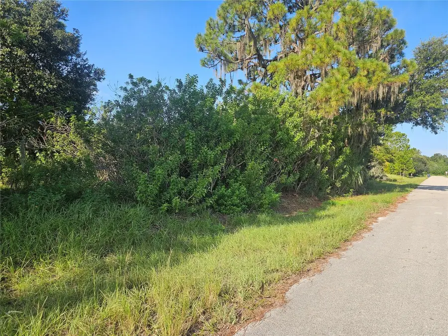 251 Sunbeam Court, Lake Placid, FL 33852 - #2