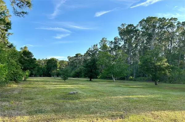 Limpkin Lane, FROSTPROOF, FL 33843