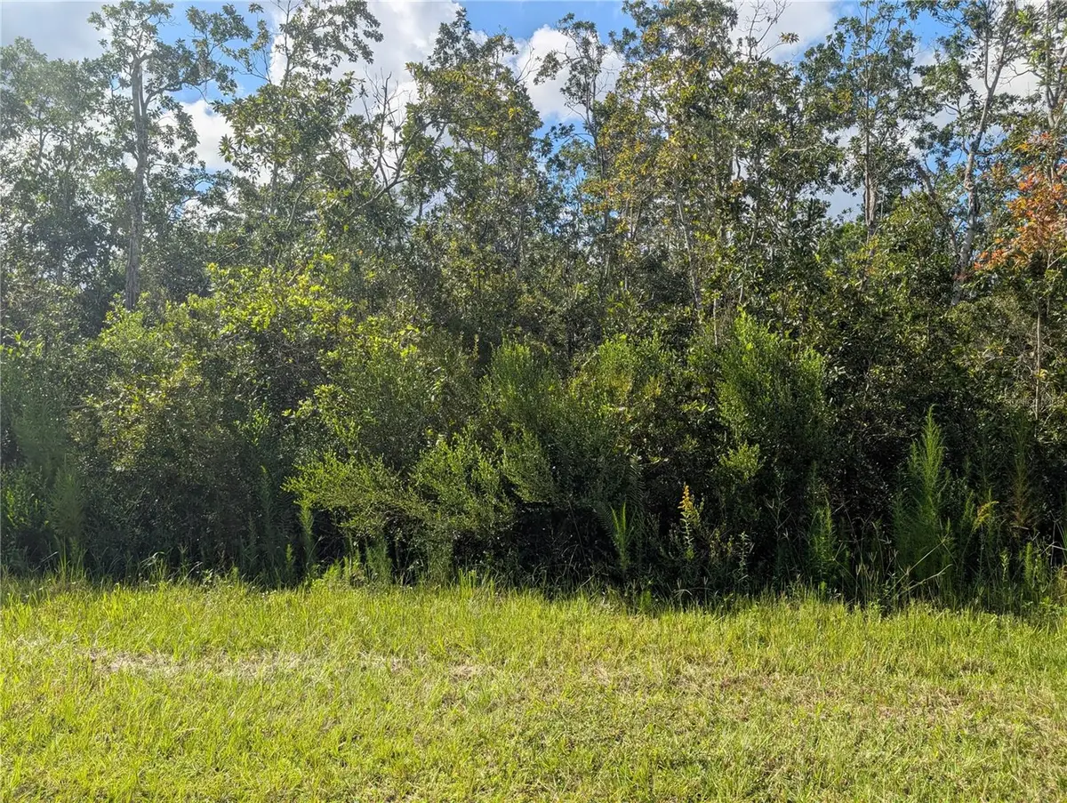 313 Bougainville Drive, Indian Lake Estates, FL 33855 - #1