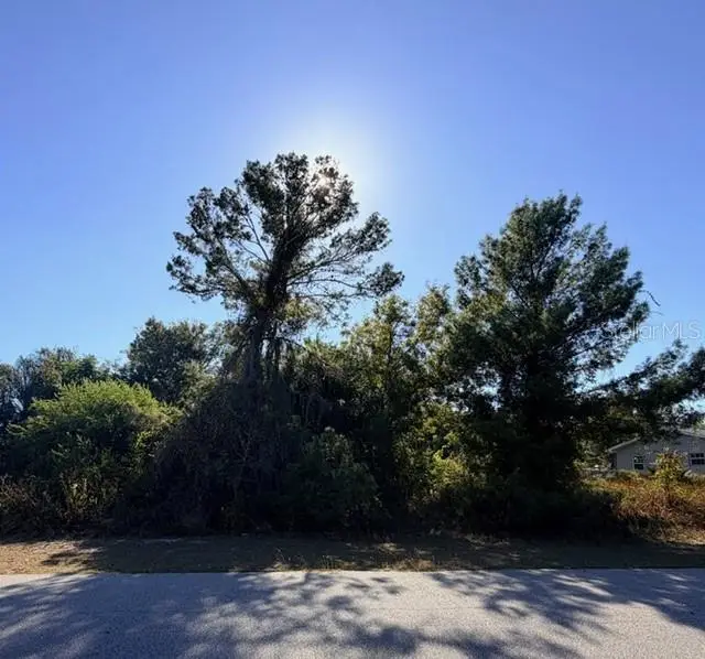 254 Loquat Road Nw, Lake Placid, FL 33852 - #1