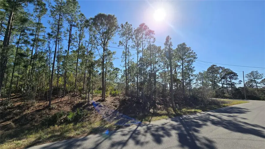 103 Sentimental Court, Lake Placid, FL 33852 - #3