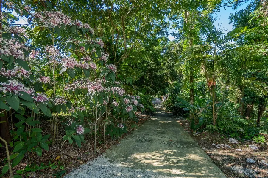 1 Barrio Jimenez, Rio Grande, PR 00745 - Image #3