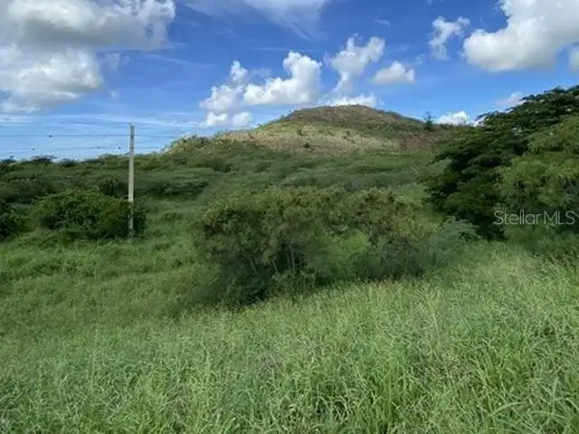 #1