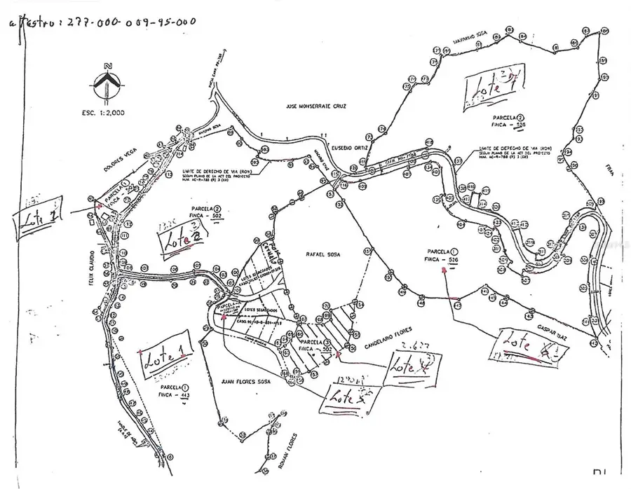 87.29 cuerdas Bo.Quemados Carr 7788 Km Hm 2.2, San Lorenzo, PR 00754 - #3