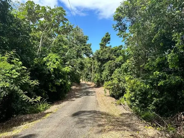 Road PR-140 km 34.2 Barrio Don Alonso, UTUADO, PR 00641