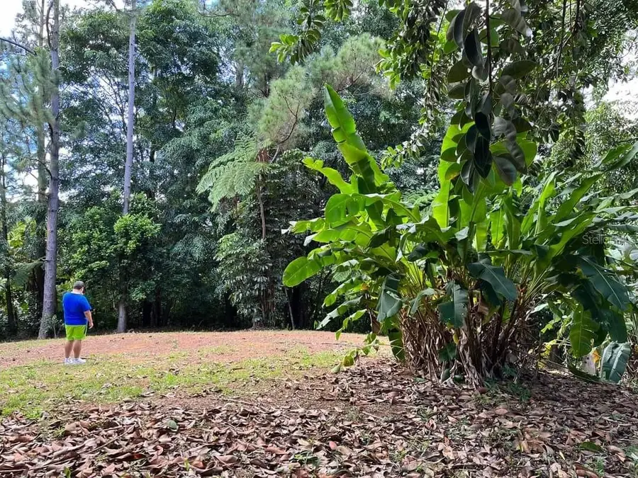 #2