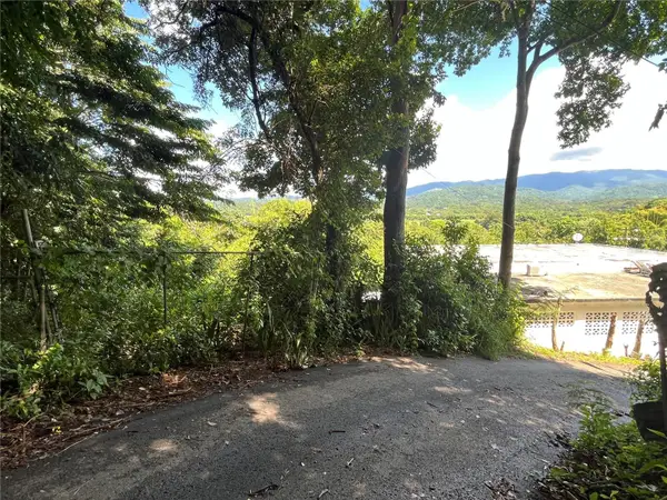 Carr 347 Km 1.6 Bo Sabana Grande Abajo, SAN GERMAN, PR 00683