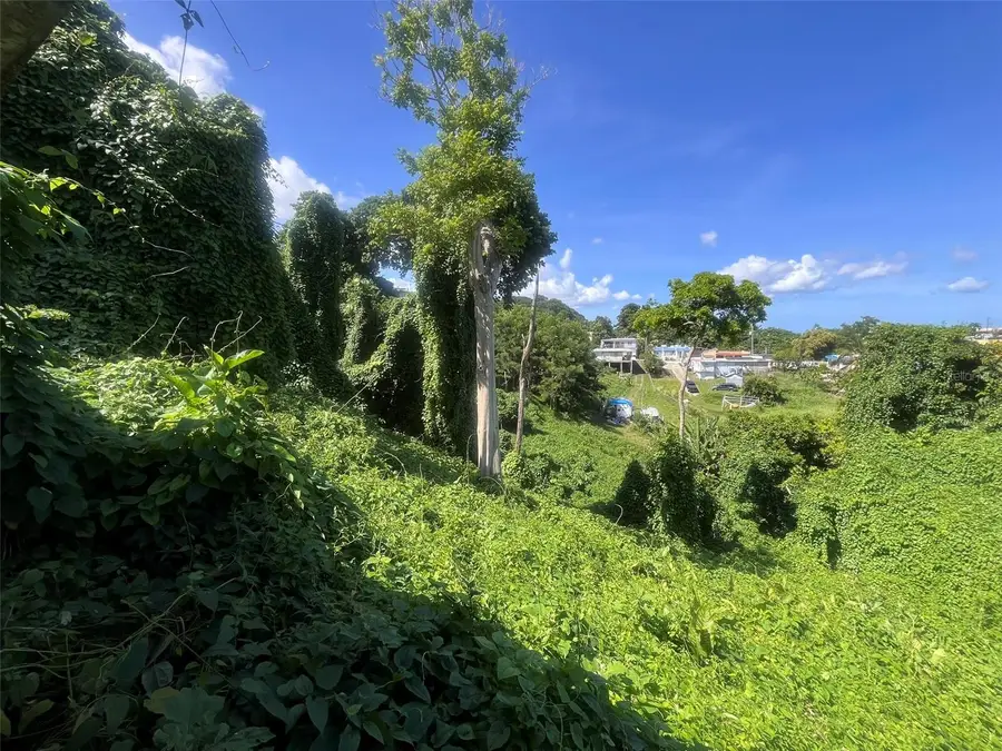 Barrio Mamey, Guaynabo, PR 00969 - Image #2