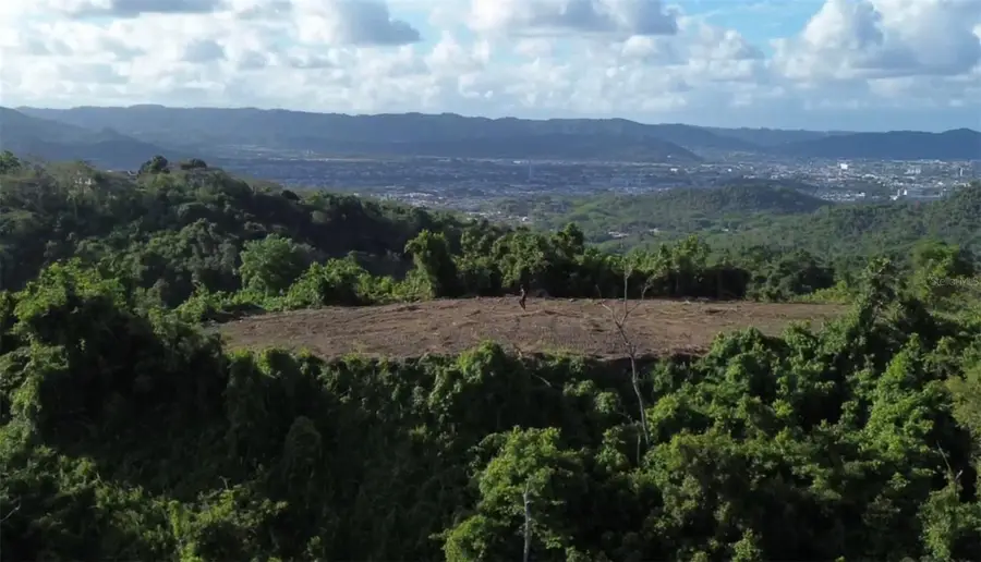 Bo Borinquen, Caguas, PR 00725 - Image #2