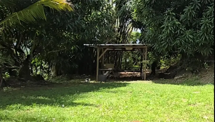 Bo Borinquen, Caguas, PR 00725 - Image #3