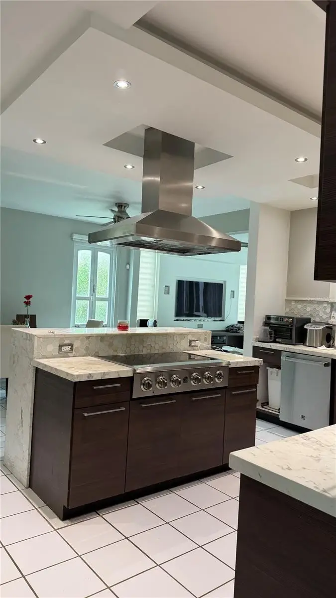 163 Pitirre, San Juan, PR 00936 - #2