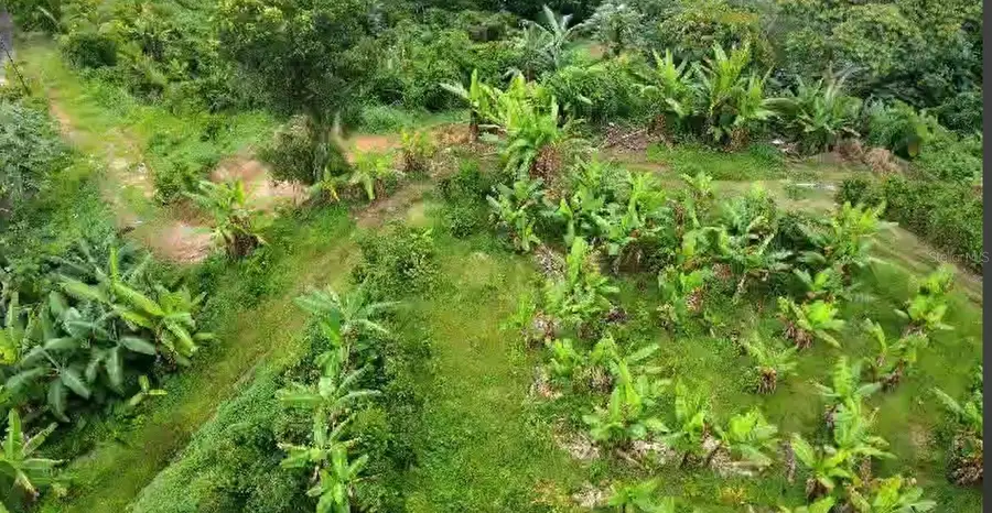 #3
