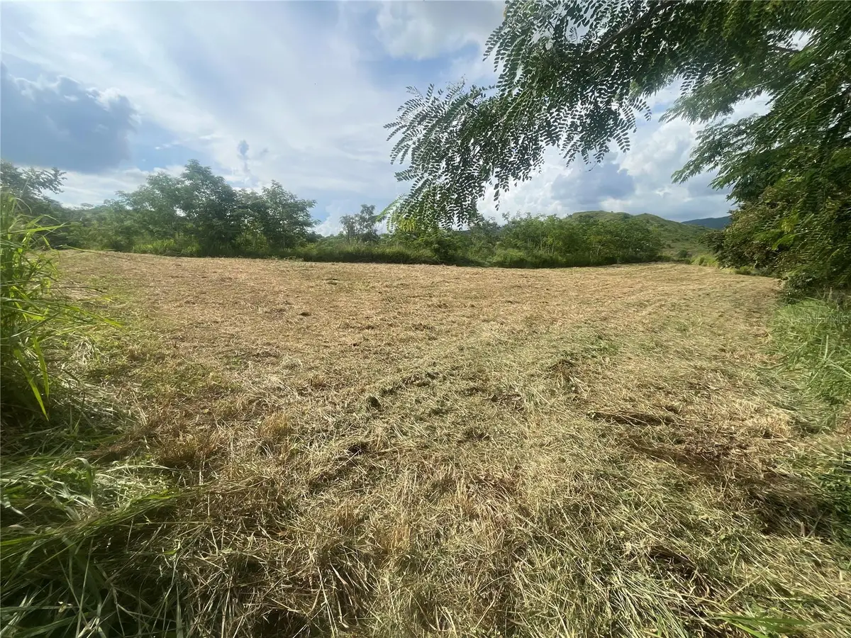 KM HM 17.7 Carr 150, Coamo, PR 00769 - Image #1