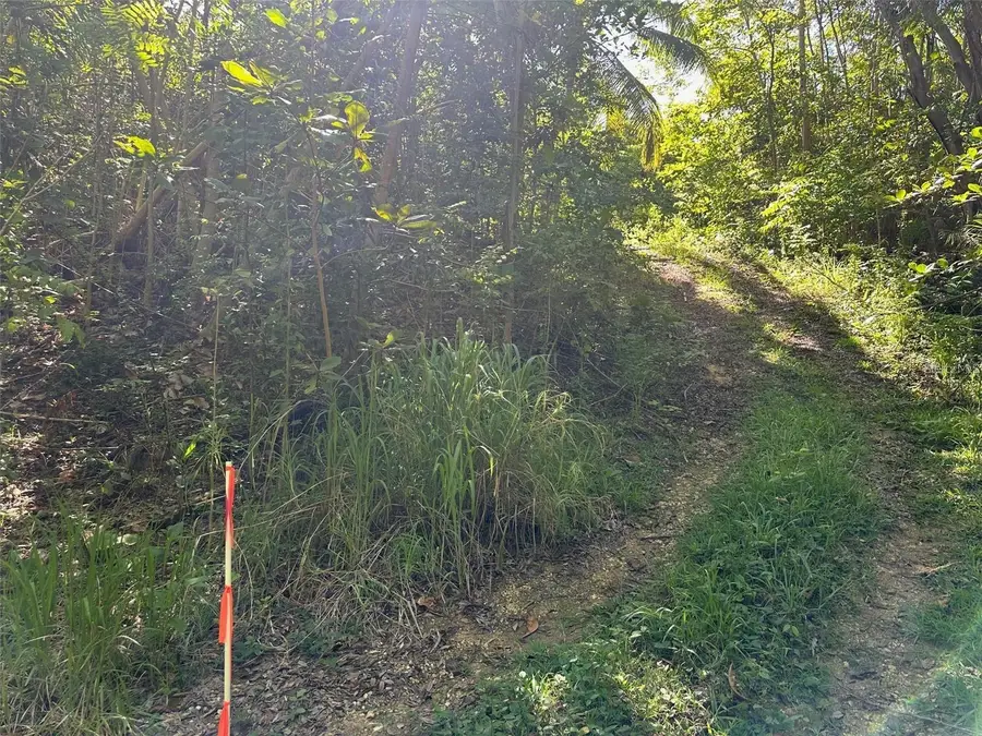 Carr. 413 Interior, Rincon, PR 00677 - #2