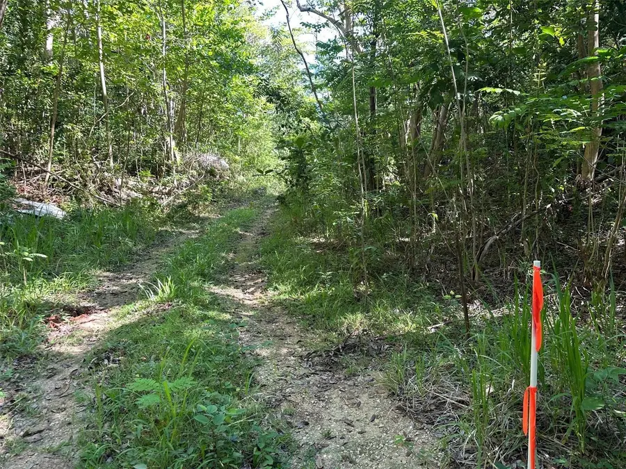 Carr. 413 Interior, Rincon, PR 00677 - #3