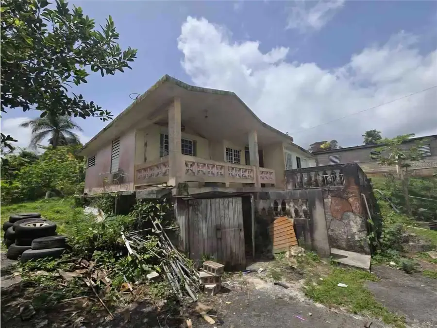 PR-156 KM. 6.0 PARCEL 49 Botijas 2 Ward, Orocovis, PR 00720 - Image #3