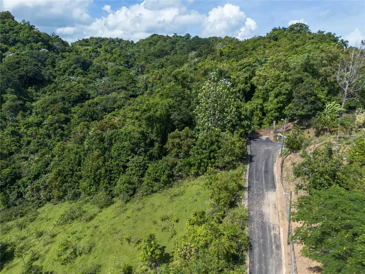 Los Guayabos, San Juan, PR 00926 - Image #1