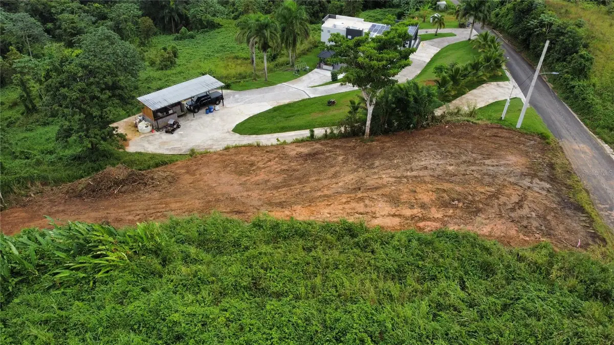 Carr 110, Moca, PR 00676 - Image #1