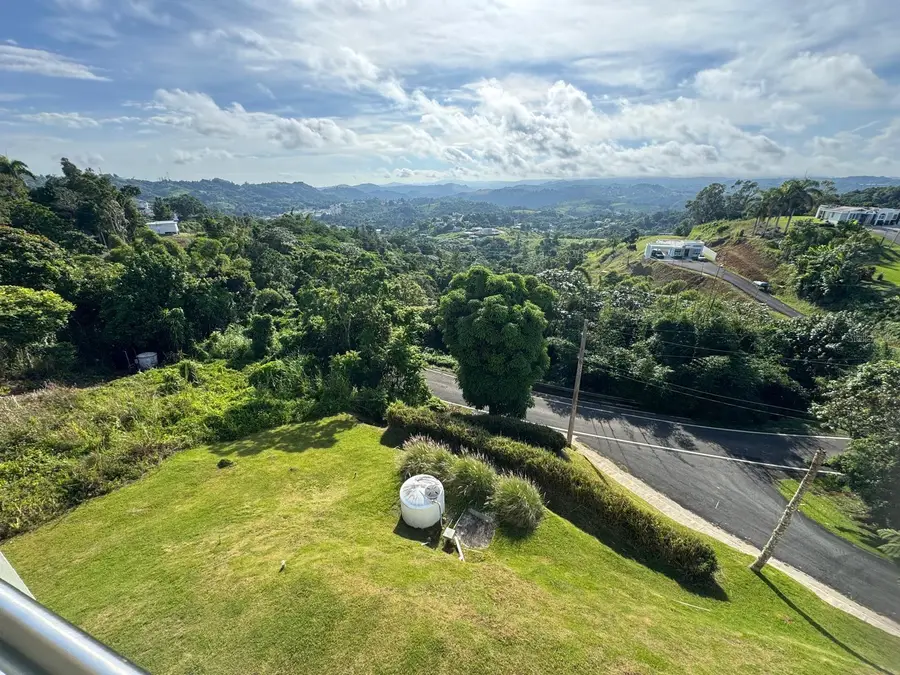 2 Km 17.6 Pr 162, Barranquitas, PR 00794 - Image #2