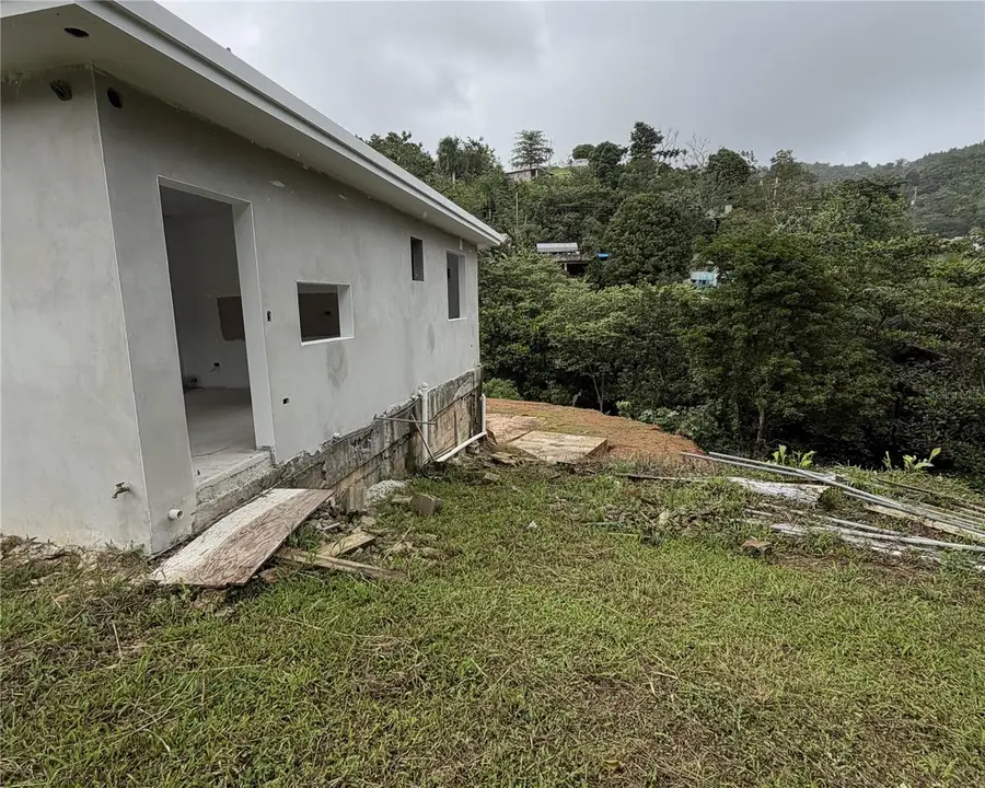 Bo. Caaboncito, Carr. 784 Km 5.2, Caguas, PR 00727 - Image #2