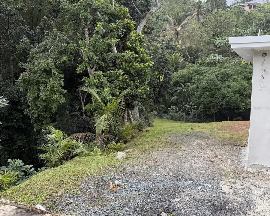 Bo. Caaboncito, Carr. 784 Km 5.2, Caguas, PR 00727 - Image #3
