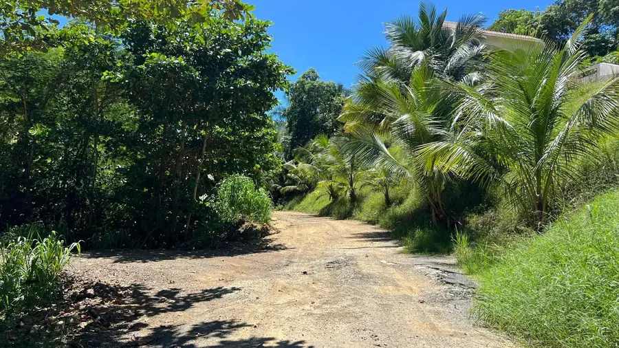 Km 5.9 Carr 413, Rincon, PR 00677 - Image #3