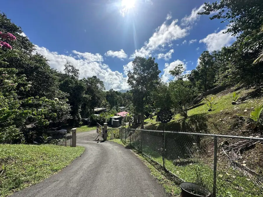 1 D, Cidra, PR 00739 - Image #2