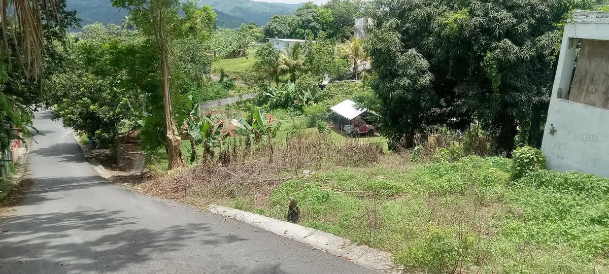 Carr. 435 Comunidad Perchas Ii, Calle Zafiro, San Sebastian, PR 00685 - Image #1